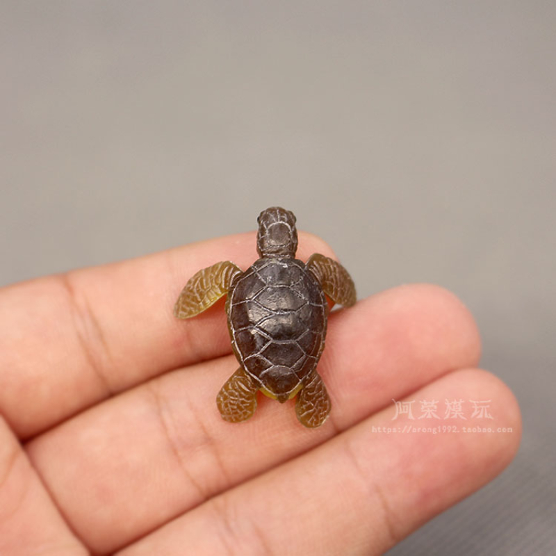 Marine Aquarium Japan - Marine Leben Meer Schildkröte Modell Ornamente