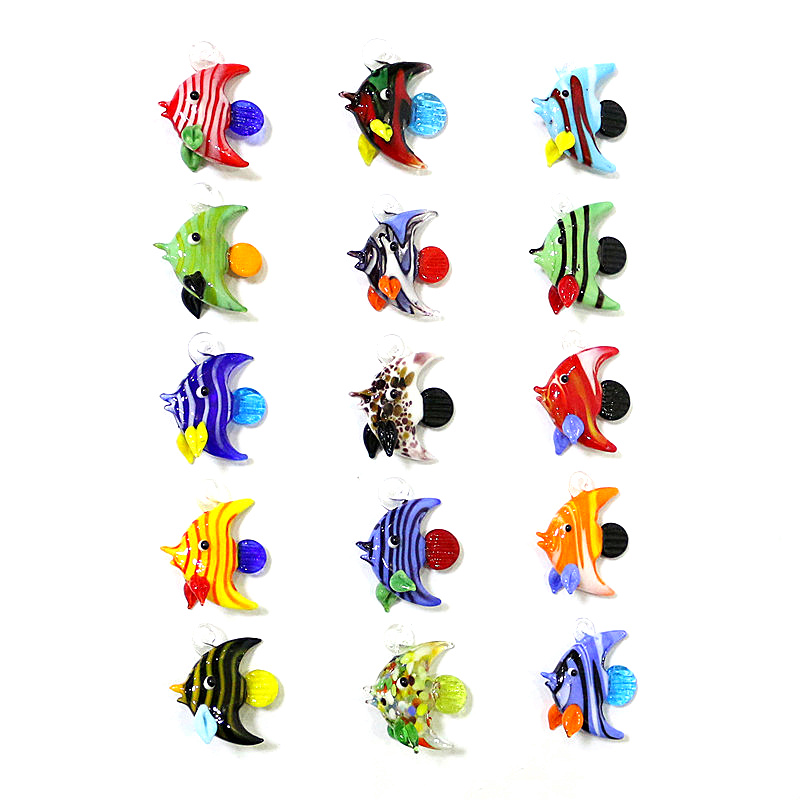 2 Stück Bunte Mini Meeresfisch – Marine Aquarium Europe Bewertung und Preis