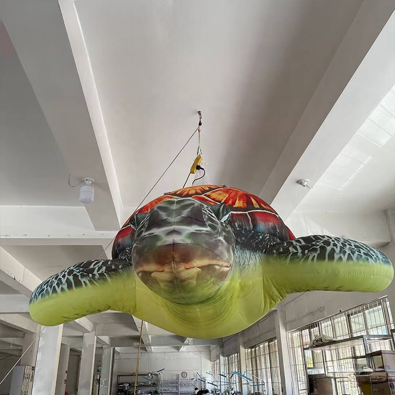 Aufblasbare Meeresschildkröten – Aquarium Marine Shop Bewertung und Preis