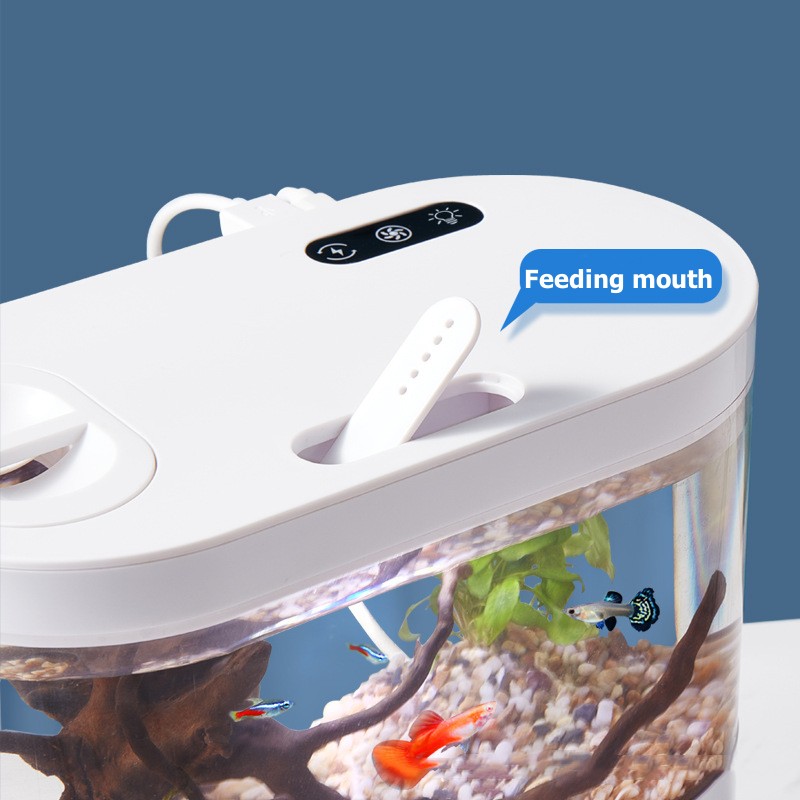 Mini-Desktop-Aquarium mit Bioc – Marine Aquarium Water Change Bewertung und Preis