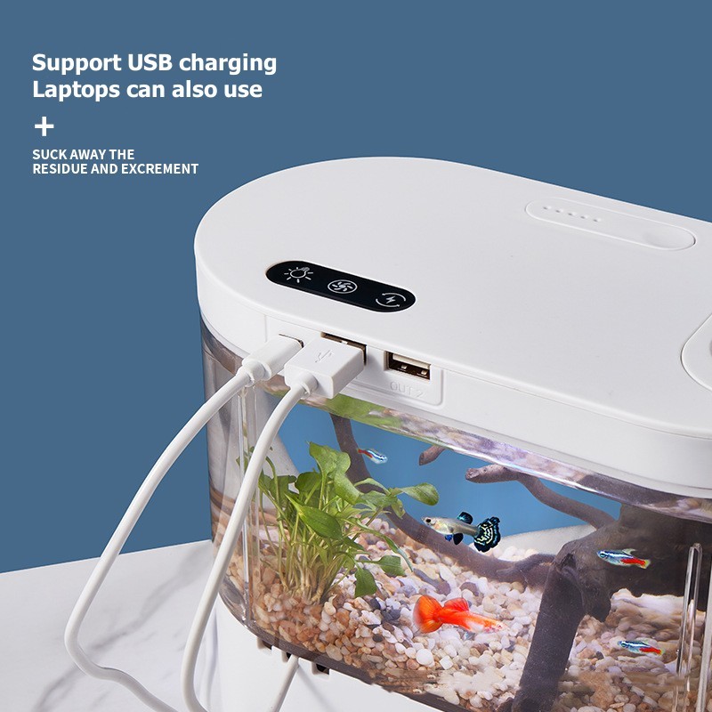 Mini-Desktop-Aquarium mit Bioc – Marine Aquarium Water Change Bewertung und Preis