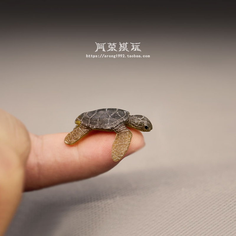 Marine Leben Meer Schildkröte  – Marine Aquarium Japan Bewertung und Preis