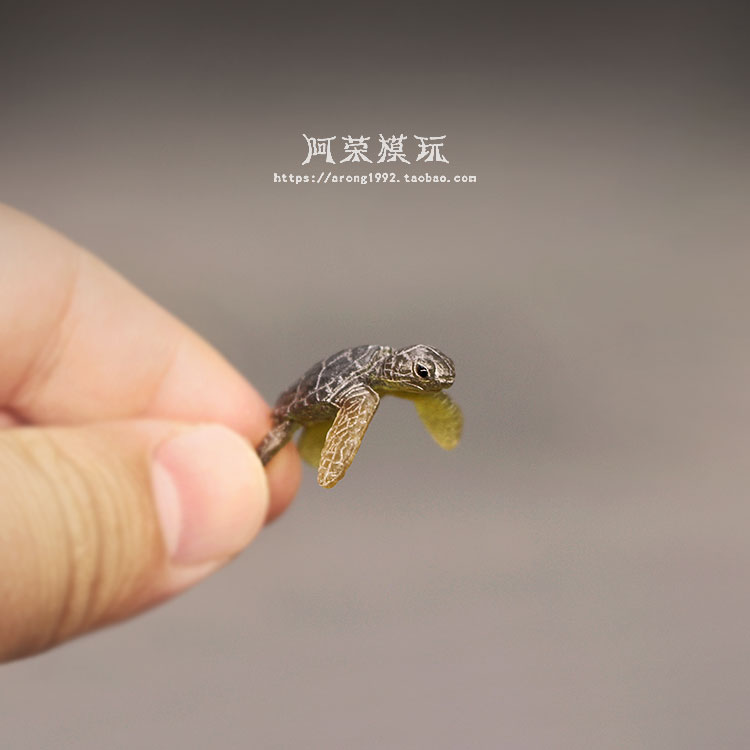 Marine Leben Meer Schildkröte  – Marine Aquarium Japan Bewertung und Preis